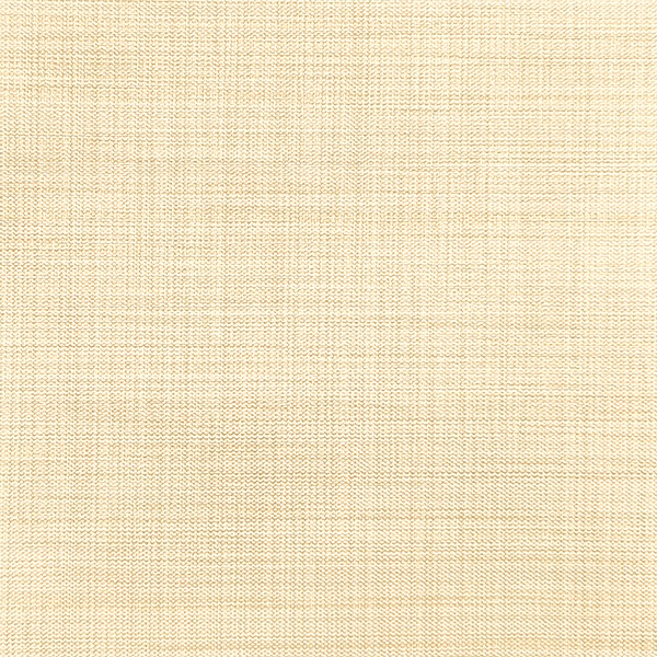 Ткань для рулонных штор на проем Benone 7858 - изображение 1 - заказать онлайн в салоне штор Benone в Истре
